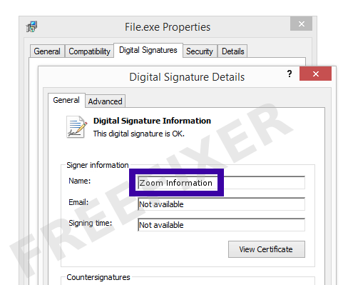 Screenshot of the Zoom Information certificate